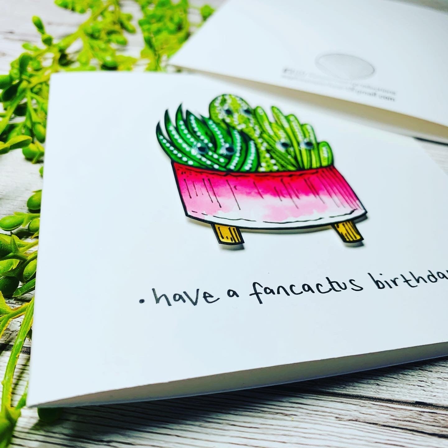 Have a  Birthday - Cactus Birthday Card - Pink Pot